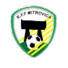 米特罗维察女足